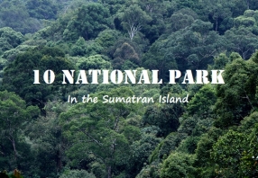 10 National Park in Sumatra Island
