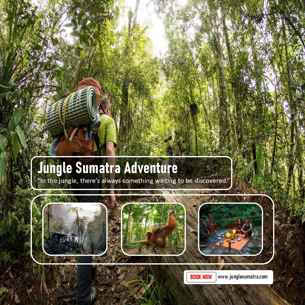 3 Days Jungle Trekking in Sumatra