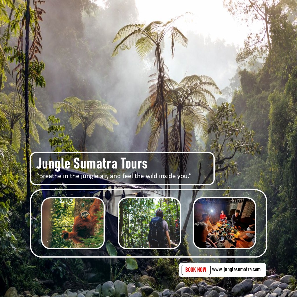 2 Days Jungle Trekking in Sumatra
