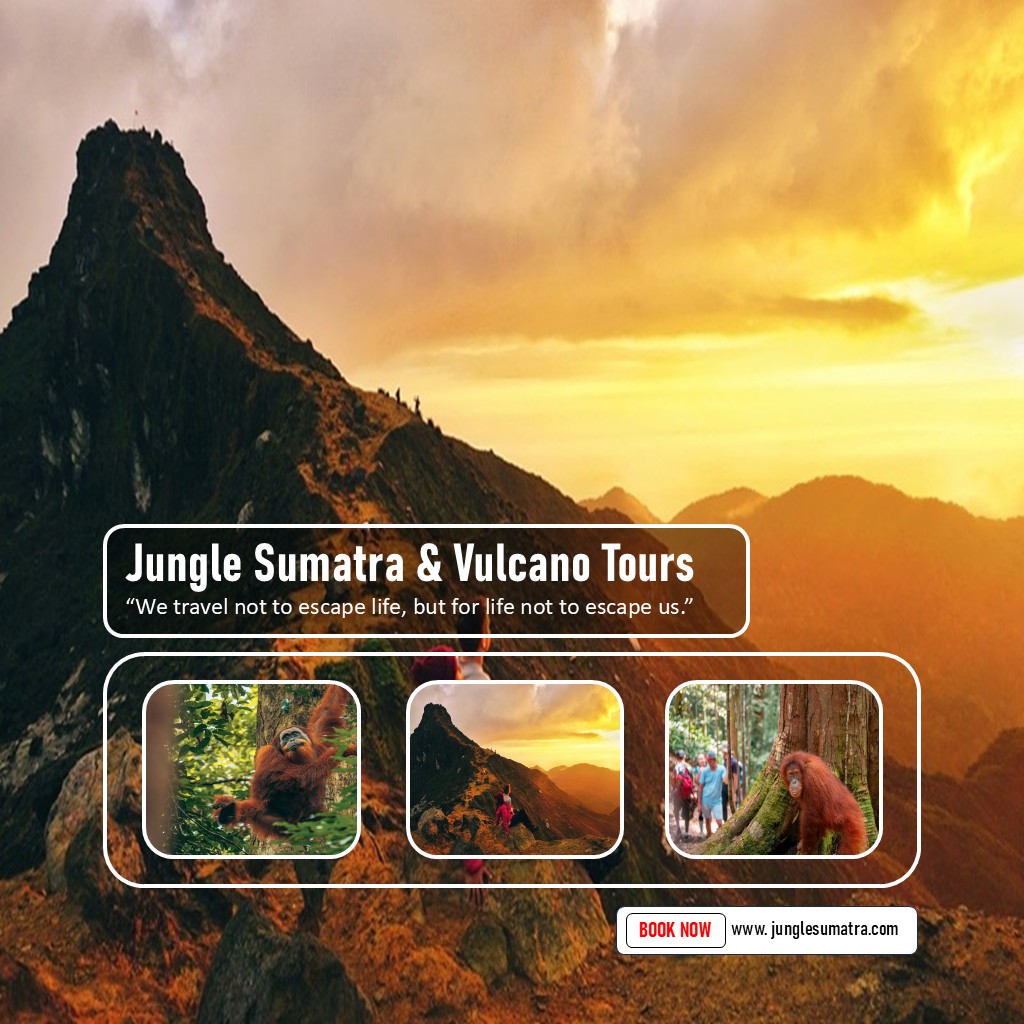5 Days Tour Orangutan and Vulcano