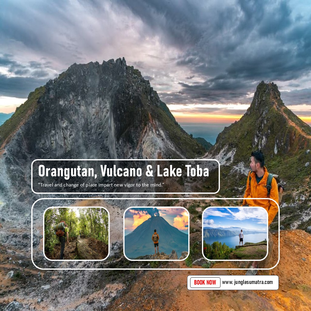 6 Days : Orangutan Camping, Vulcano and Lake Toba