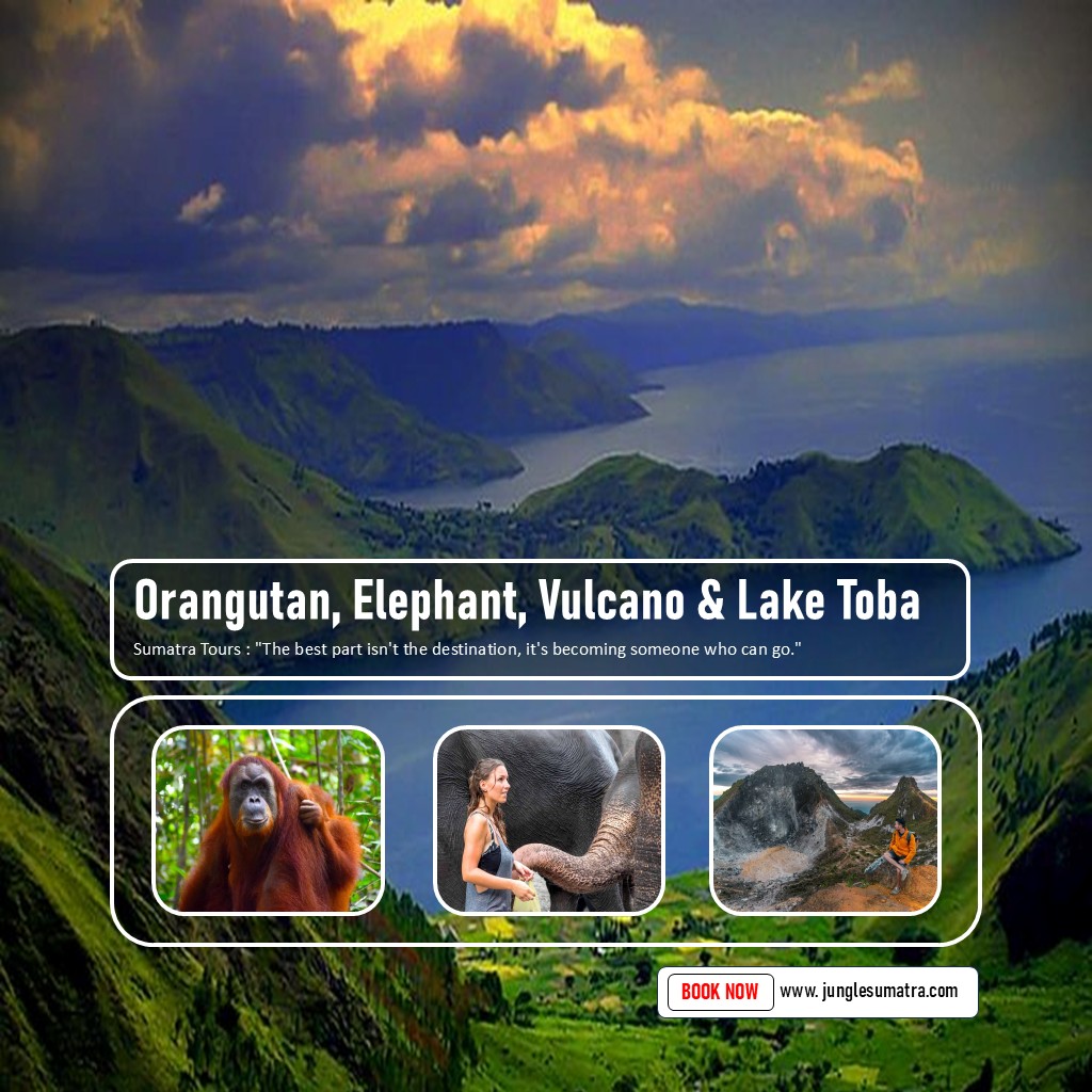 6 Days : Orangutan, Elephant, Vulcano and LakeToba