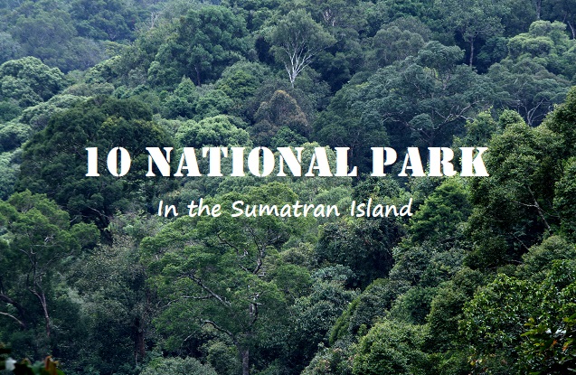 10 National Park in Sumatra Island